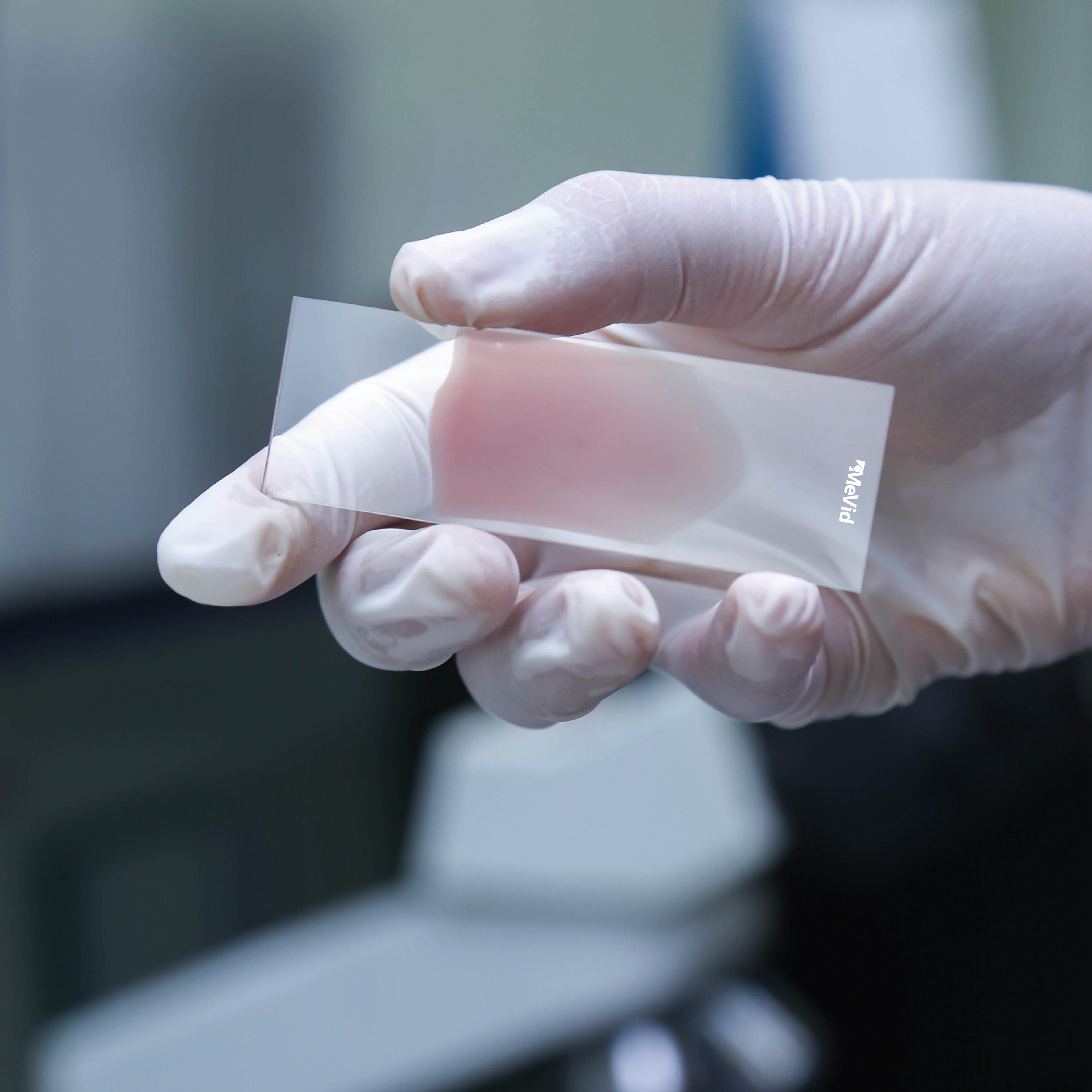 01 blood smear microscope slides.jpg 图片